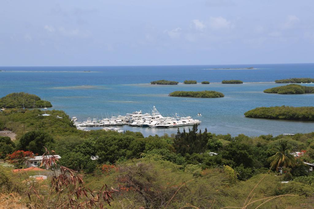 Parador Turtle Bay Inn La Parguera Exteriör bild